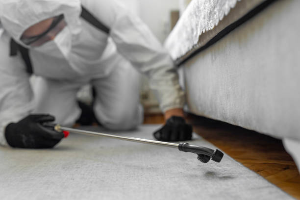 Professional Bed Bug Control technician working in Scottsburg, IN
