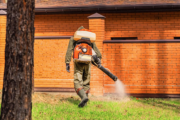 Trusted Termite Control service in Scottsburg, IN - Nex Pest Control
